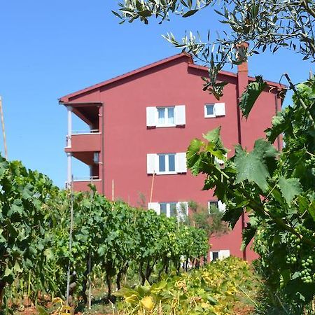 Apartments Roza 梅杜林 客房 照片