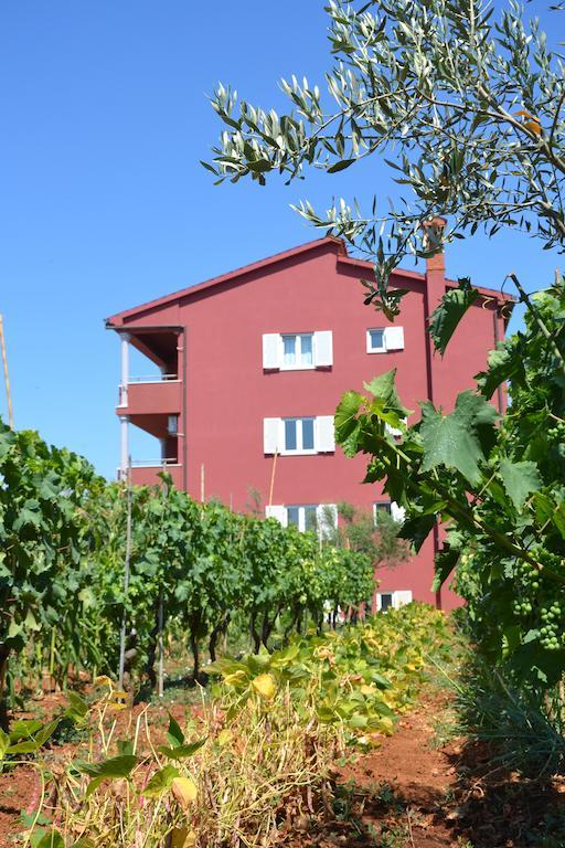 Apartments Roza 梅杜林 客房 照片